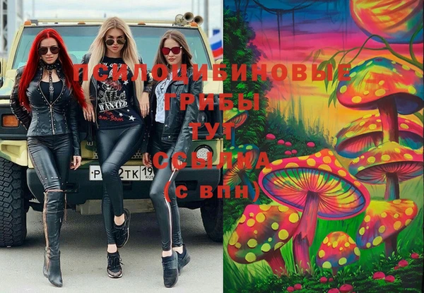 шишки Балахна