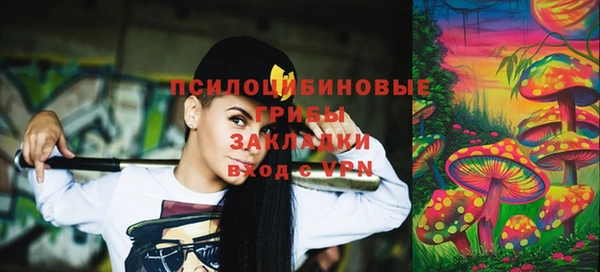 шишки Балахна