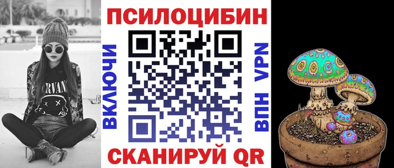 сайты даркнета официальный сайт что такое наркотик Приморск Псилоцибиновые грибы MAGIC MUSHROOMS