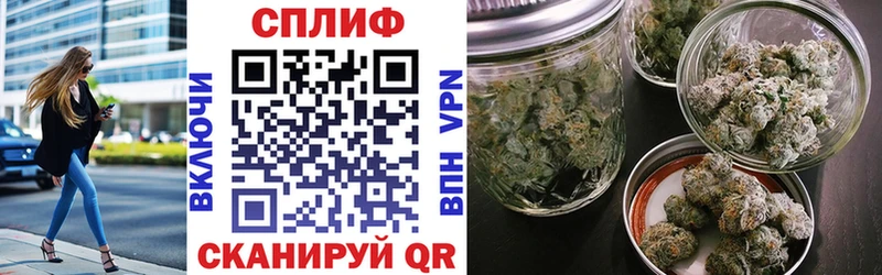 Бошки марихуана сатива как найти Приморск